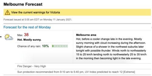 墨尔本最新病毒爆料,揭秘变异病毒传播与防控策略  第1张
