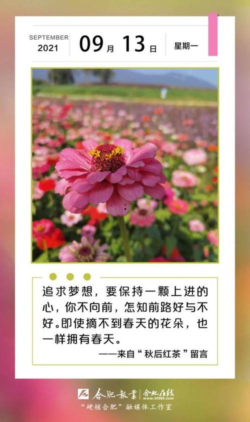 早安合肥在线观看,每日新鲜资讯,开启美好一天 第1张 早安合肥在线观看,每日新鲜资讯,开启美好一天 第1张