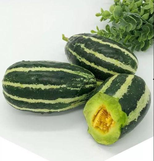 网红薄皮小吊瓜怎么吃,网红美食的多样吃法探索 第2张 网红薄皮小吊瓜怎么吃,网红美食的多样吃法探索 第2张