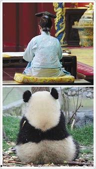 娱乐圈吃瓜群众是谁呀,揭秘那些热衷于八卦的明星粉丝群体 第1张 娱乐圈吃瓜群众是谁呀,揭秘那些热衷于八卦的明星粉丝群体 第1张